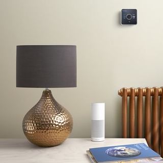 Hive Thermostat and Amazon Echo